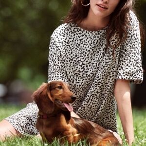 H&M Cheetah Print Short Sleeved Dress Cream Black Tan  Size 2